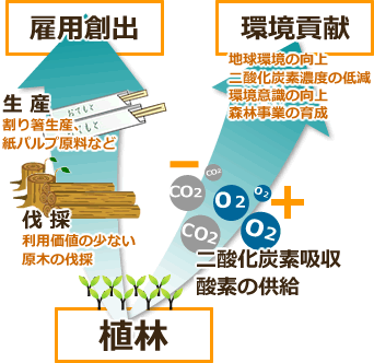 雇用創出 生産 割り箸生産、紙パルプ原料など 伐採 利用価値の少ない原木の伐採　環境貢献 地球環境の向上 二酸化炭素濃度の低減 環境意識の向上 森林事業の育成　二酸化炭素吸収 酸素の供給　植林